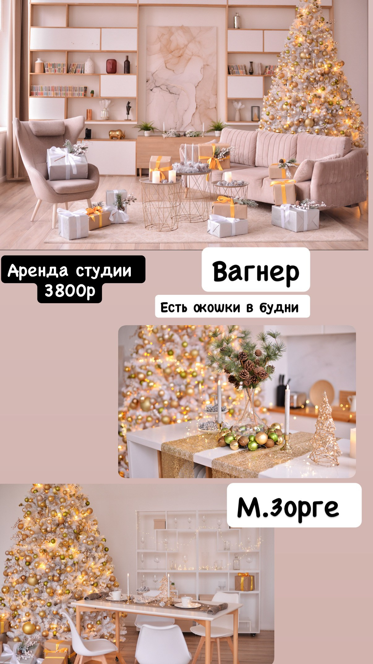 Новогодние залы. Женский и семейный фотограф в Москве- Ольга Самусенко