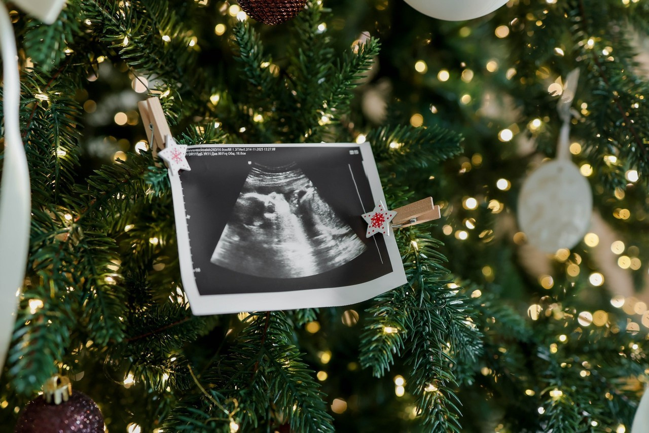 Отзывы. Alexsaphoto.ru