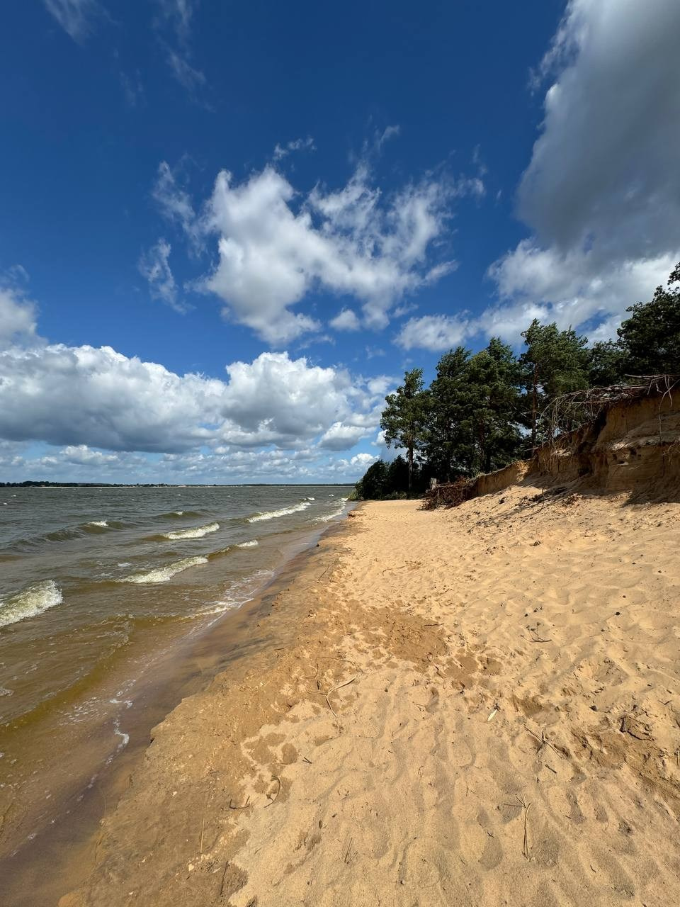 Территория. Добро пожаловать в Кемпинг — уникальное место для отдыха на лоне природы!