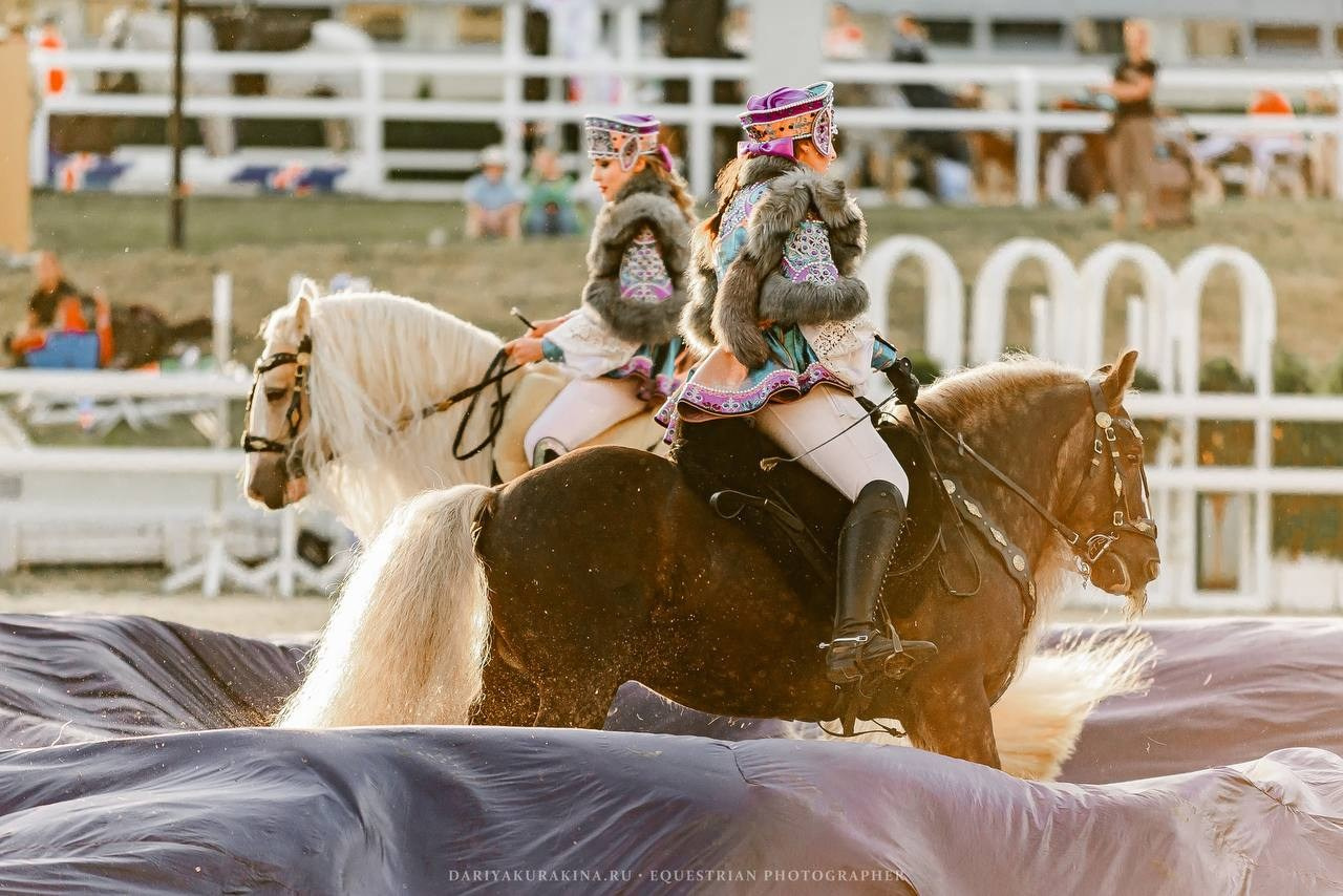 Шоу «ВМЕСТЕ» в рамках 25й Юбилейной выставки ЭКВИРОС 2024. Конный фотограф Куракина Дарья • Фотосессии с лошадьми
