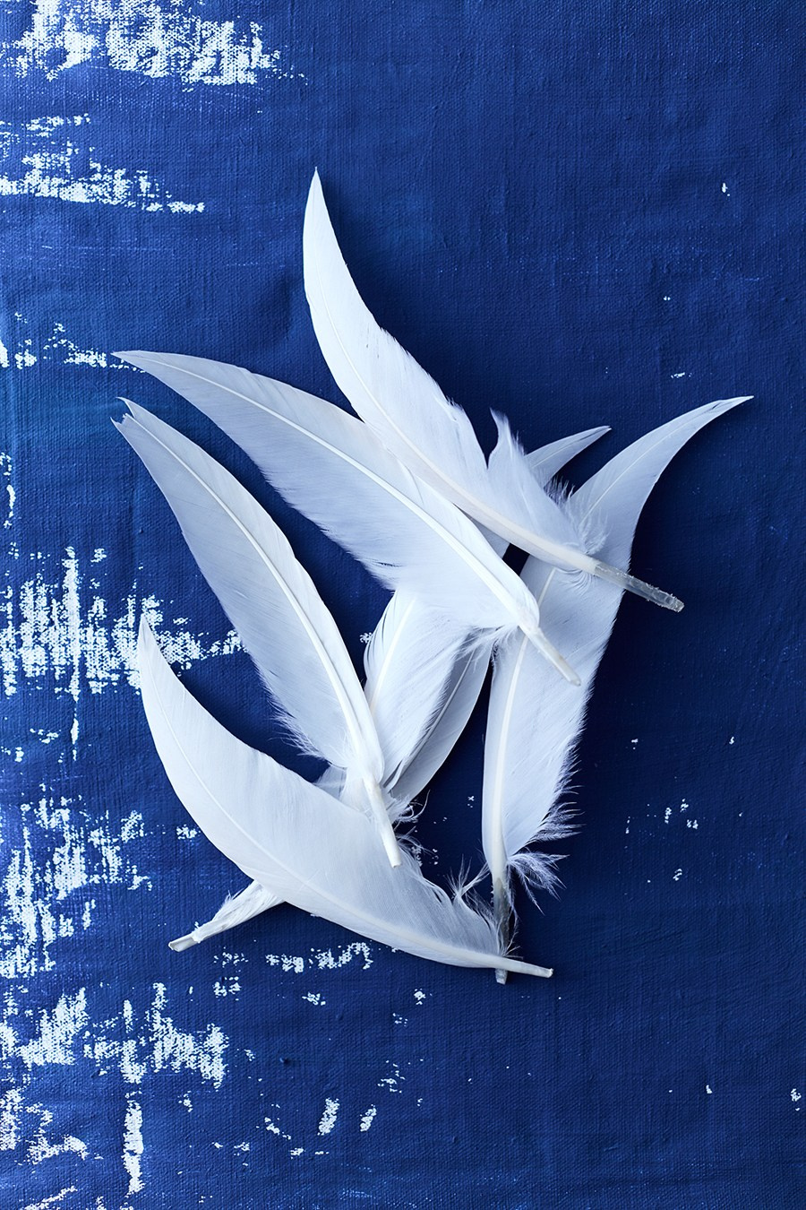 Food photographer. Евгений Петровский — Фуд-съемка и предметная съемка в Москве