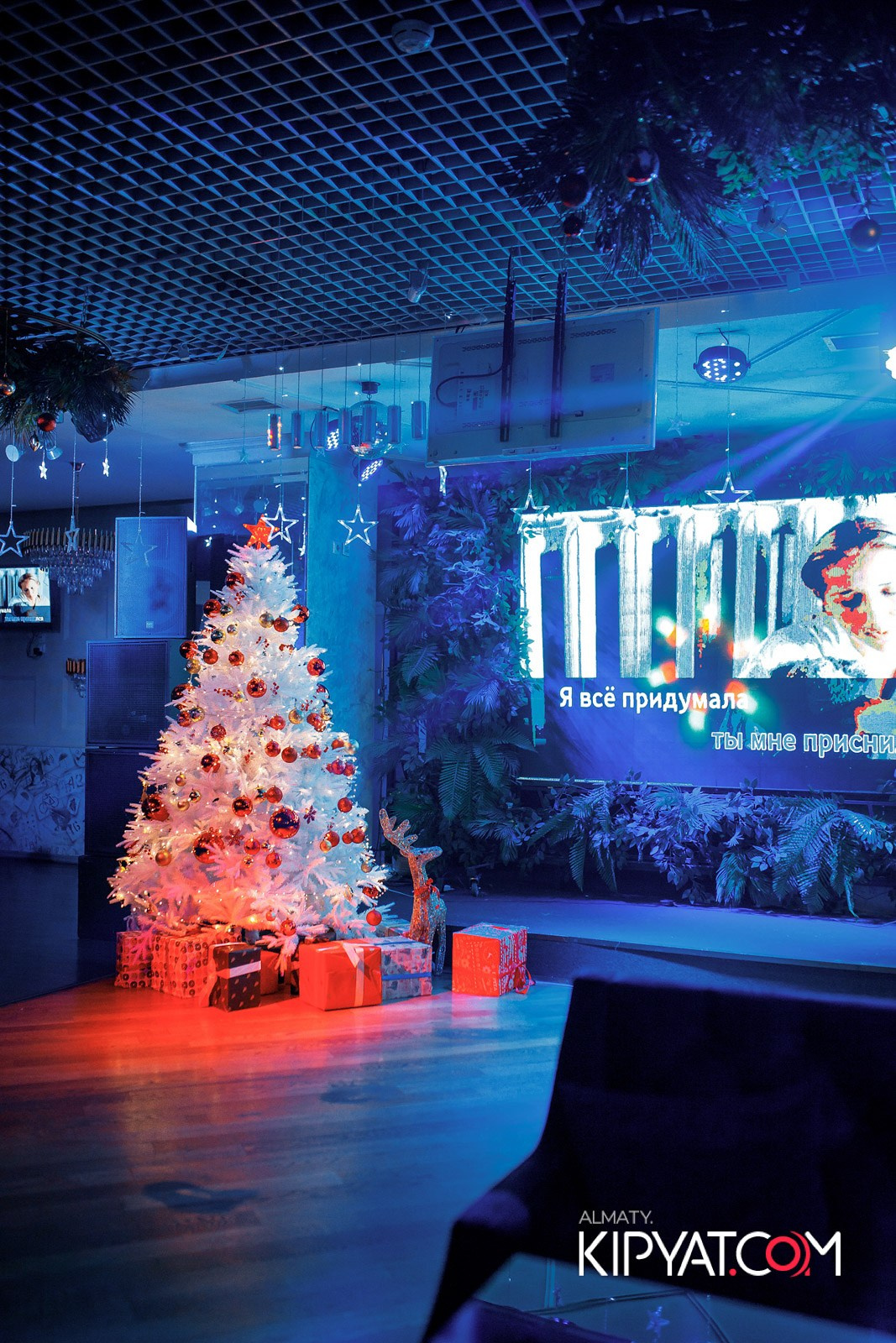 УХО И МЕДВЕДЬ НА КУРМАНГАЗЫ. КИПЯТКОМ АЛМАТЫ!