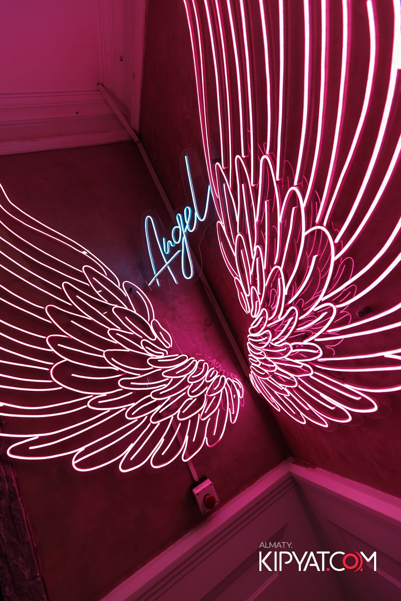 УХО И МЕДВЕДЬ НА КУРМАНГАЗЫ. КИПЯТКОМ АЛМАТЫ!