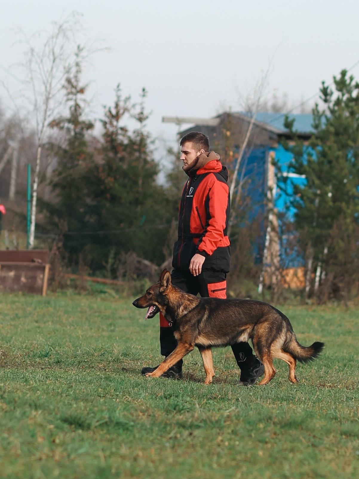 Соревнования BH. Фотограф-анималист в Москве Кириллова Татьяна
