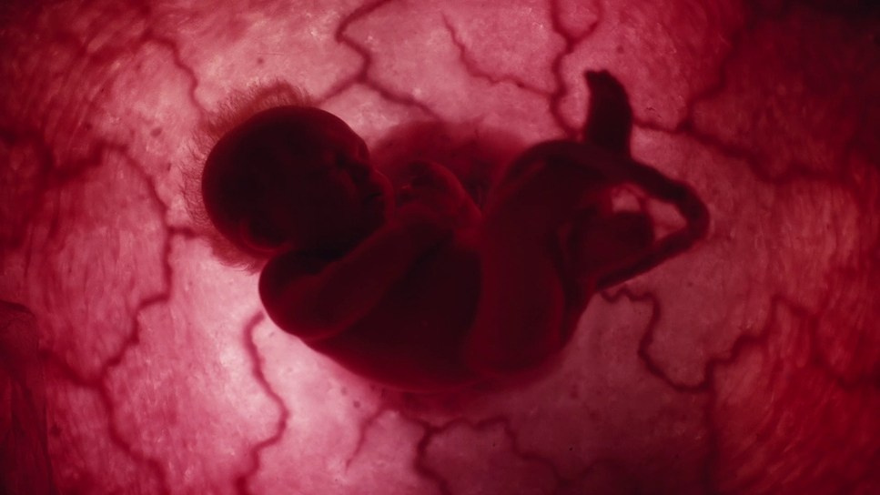 Color Theory. TENZO | Creative Producer / Art Director