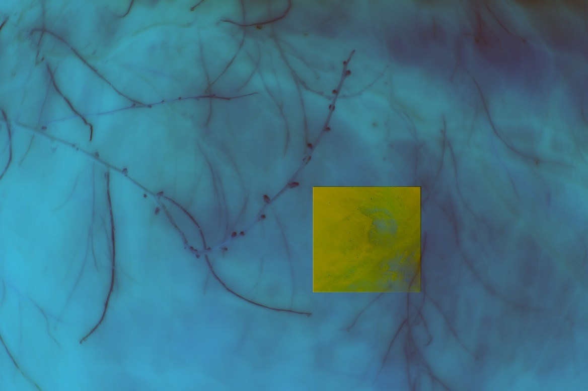 Художник Ольга Андрияш. СОАВТОРЫ