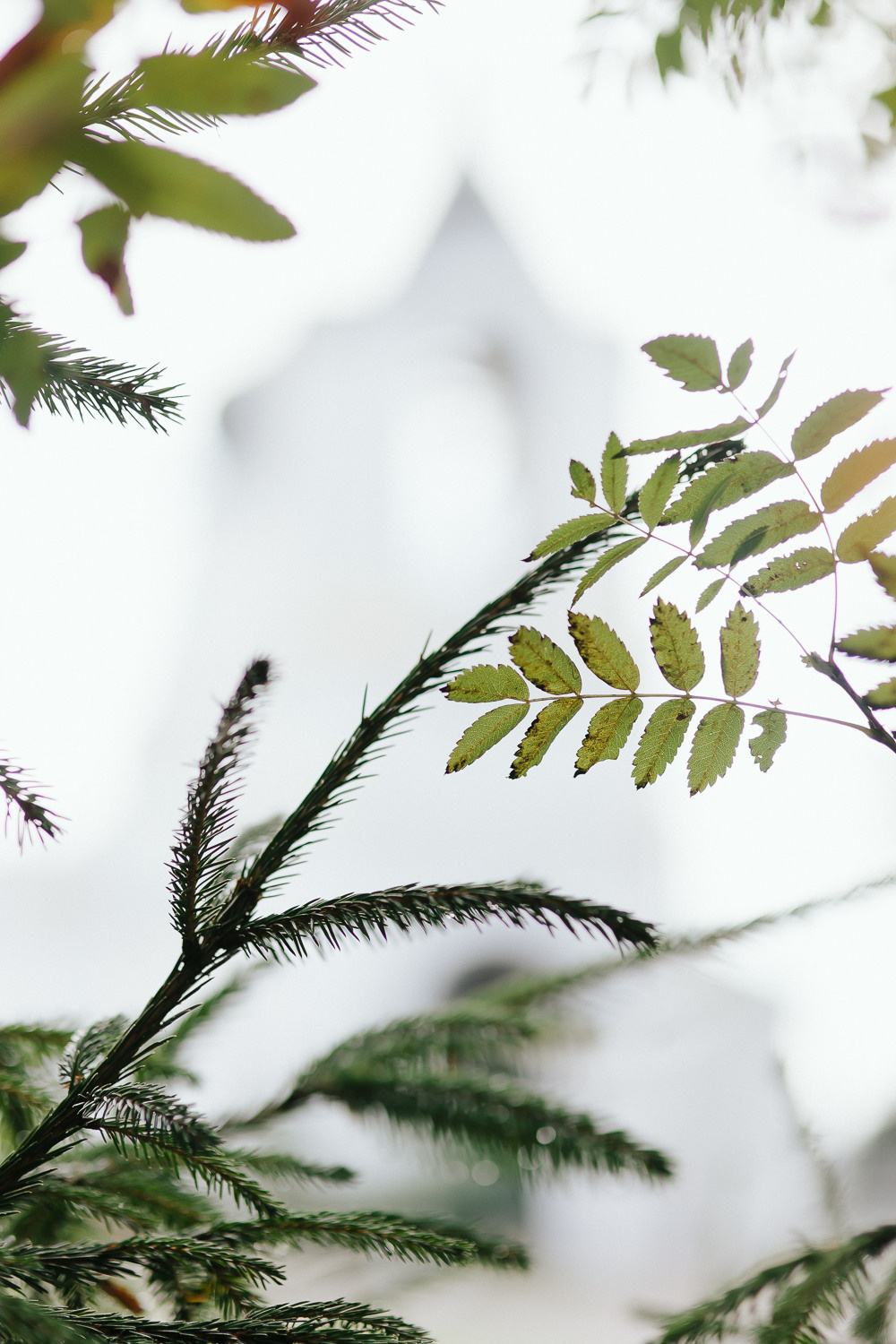 Крещение Веры. Фотограф на венчание, крещение