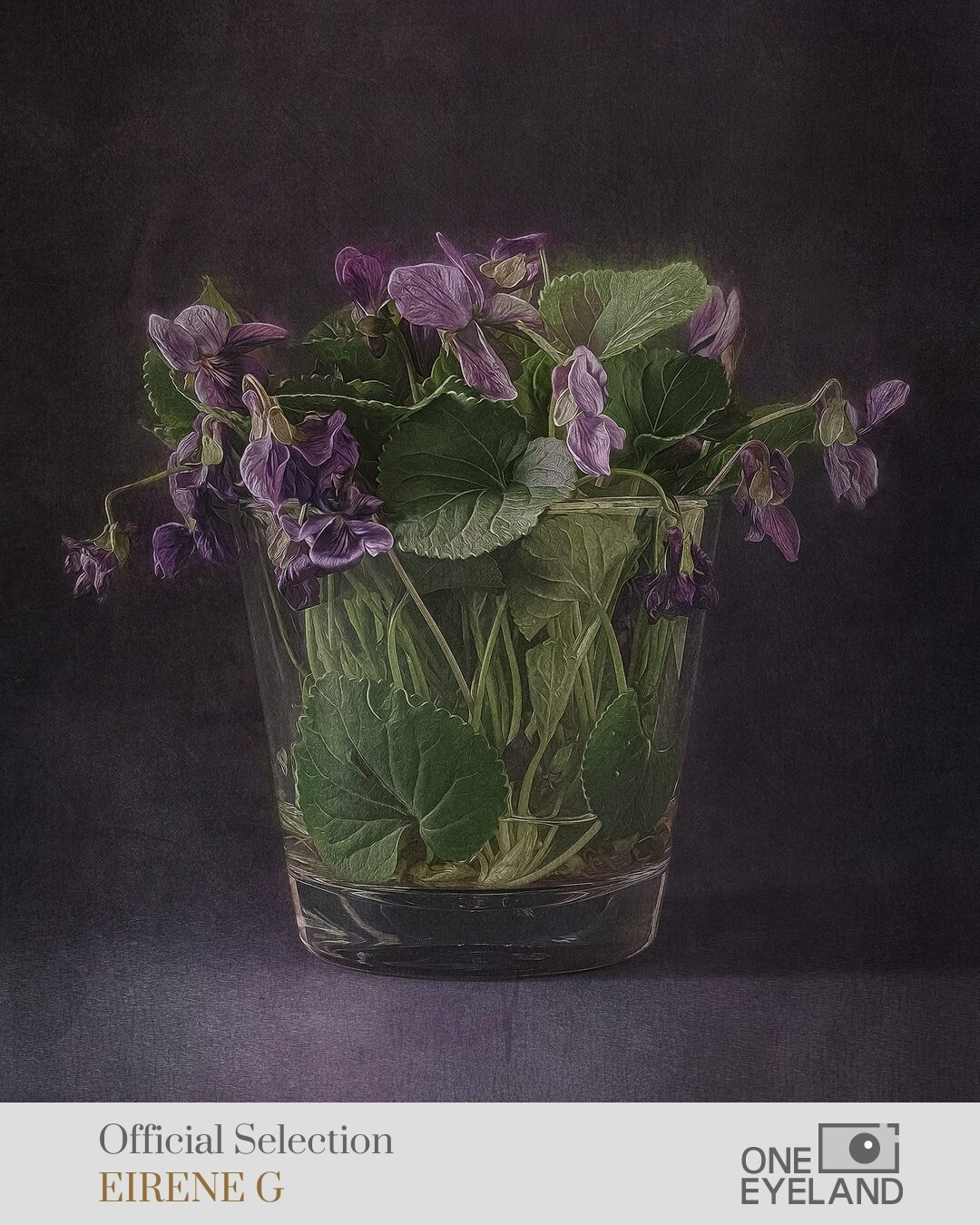 ONEEYELAND GALLERY. Eirene G |  Photoartist | Flowers from my garden