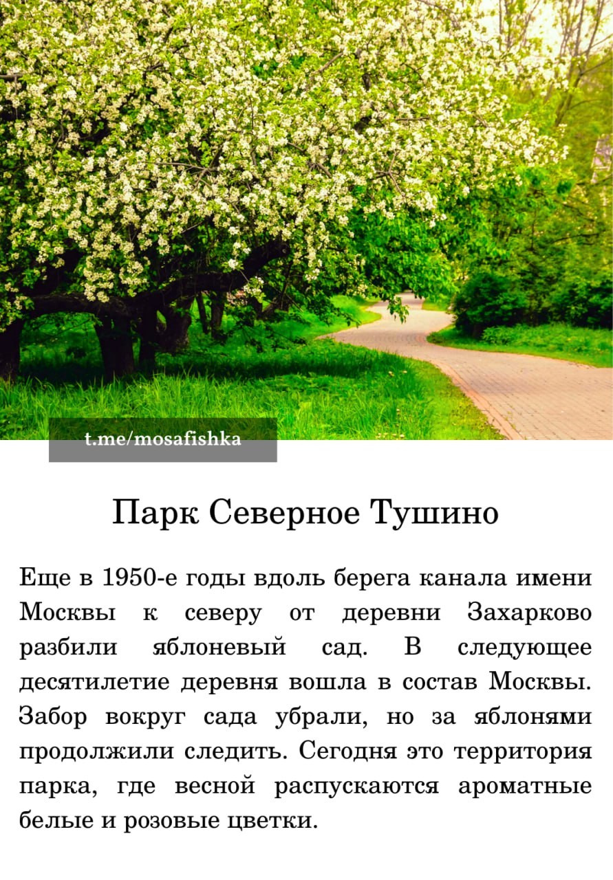 Локации для фотосессии в Москве