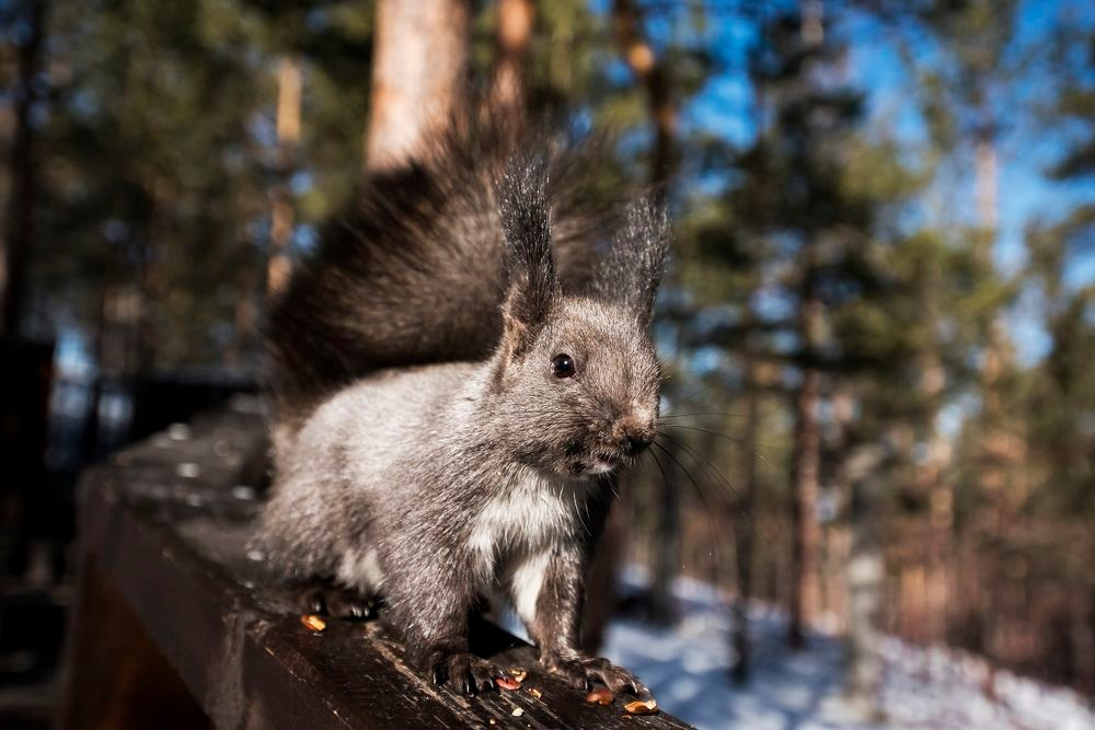 Фотоохота. Репортажный фотограф в Ижевске Константин Ившин