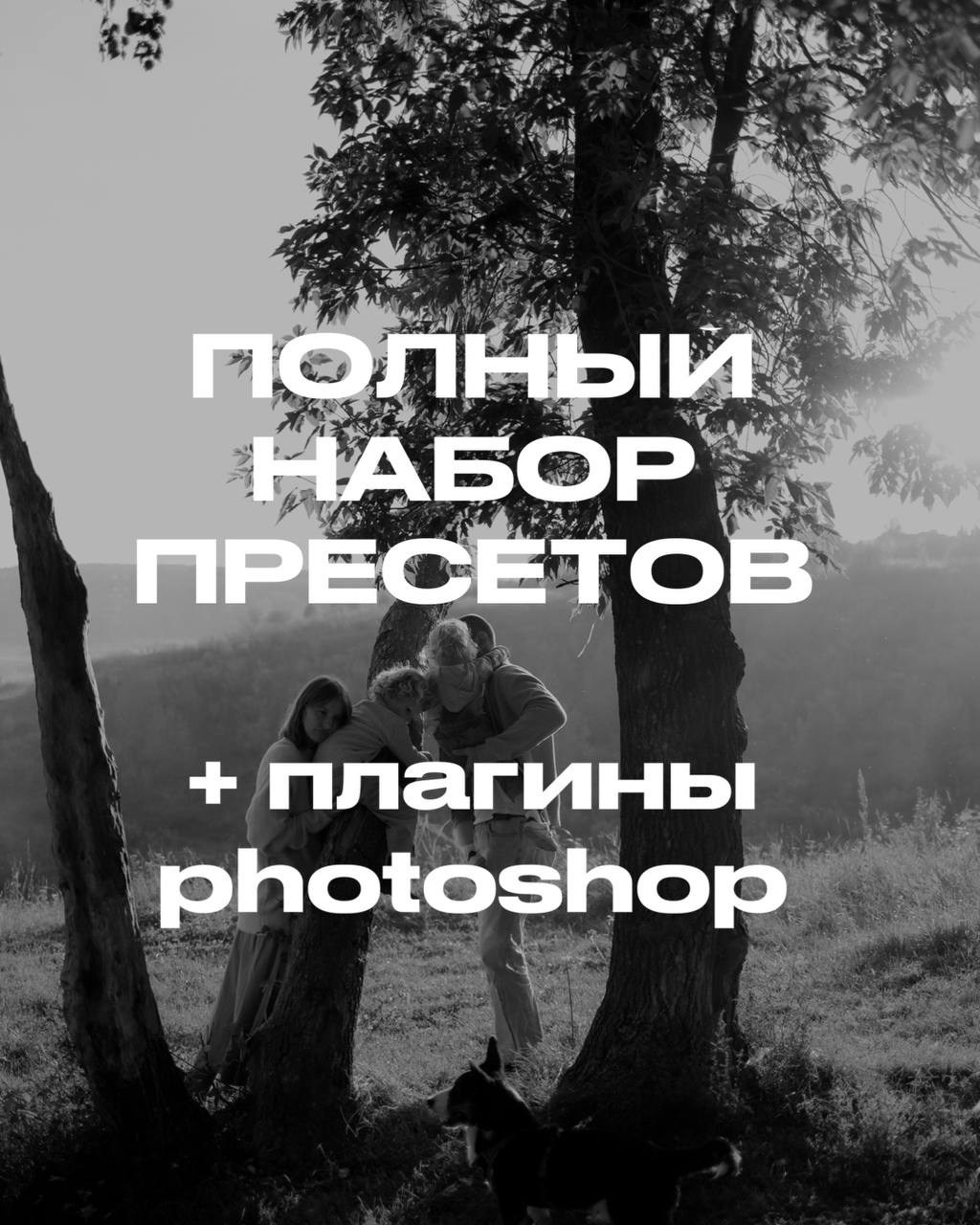 Фотограф и видеограф Елена Лисина