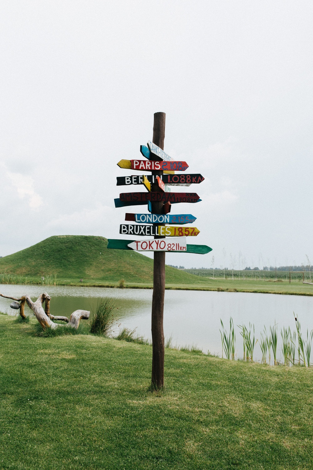 D & M. Фотограф ВИКА МЕДУЗА