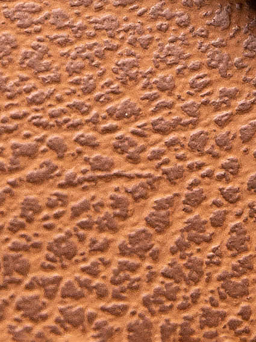 Чехол для очков | wb. Фотограф Абакумова Анастасия