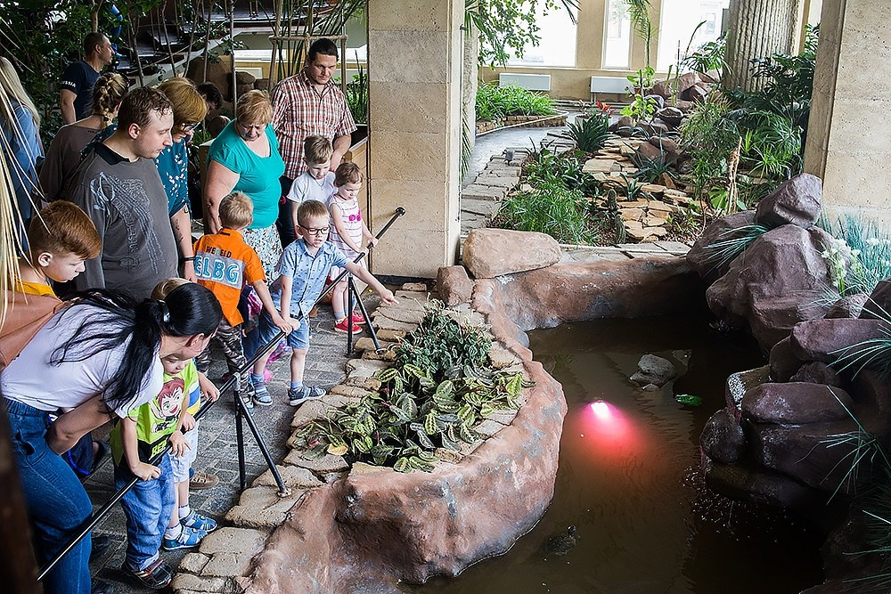 Благотворительный показ ТЮЗ. Детский и семейный фотограф, фотограф мероприятий Нижний Новгород
