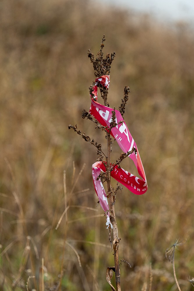 Трейловый бег «Альпиндустрия. Три курорта''. Репортажный фотограф в Красной Поляне и Сочи Павлюченко Екатерина