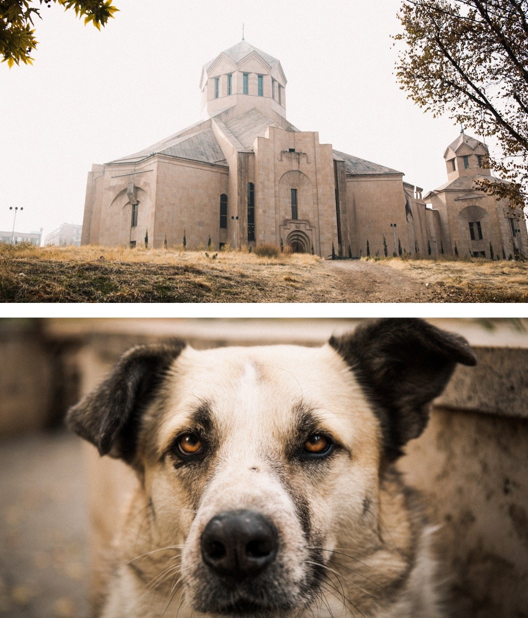 Эстетика. Фотограф Елена Ярмуш