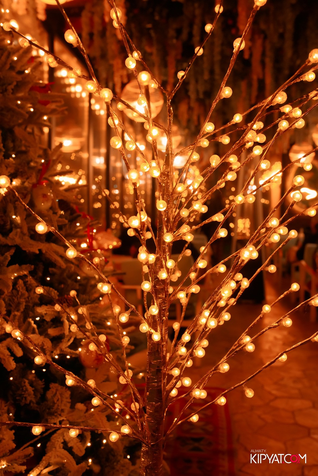 MODI RESTORANCHIK. КИПЯТКОМ АЛМАТЫ!