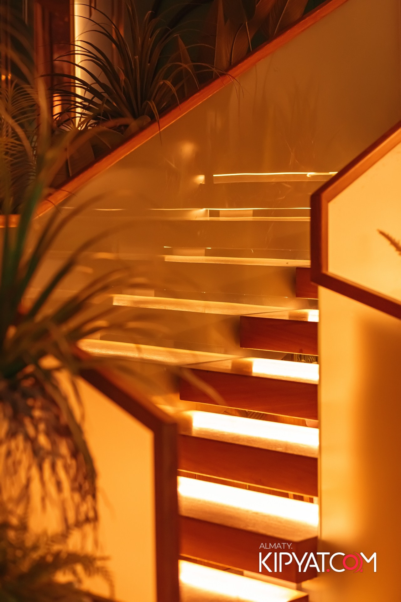 MODI RESTORANCHIK. КИПЯТКОМ АЛМАТЫ!