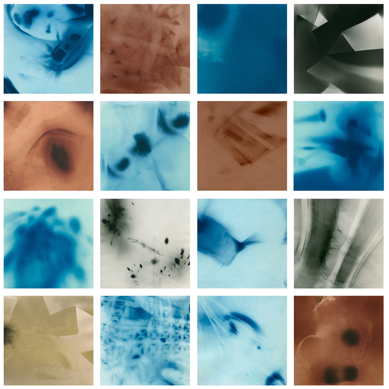 Пятно. Юлия Петренко