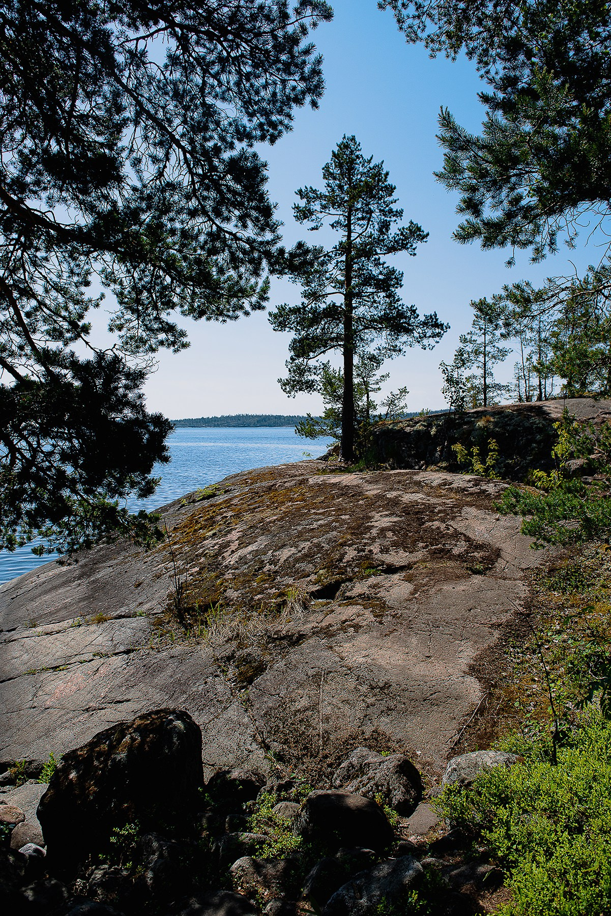 Карелия. Фотограф-анималист Наталья Светличная