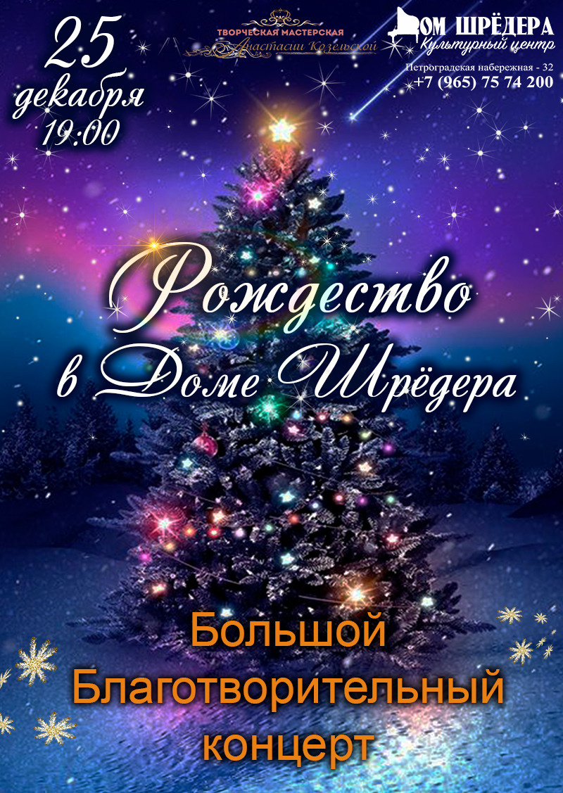 Рождество в Доме Шрёдера. Благотворительный концерт. Дом Шрёдера