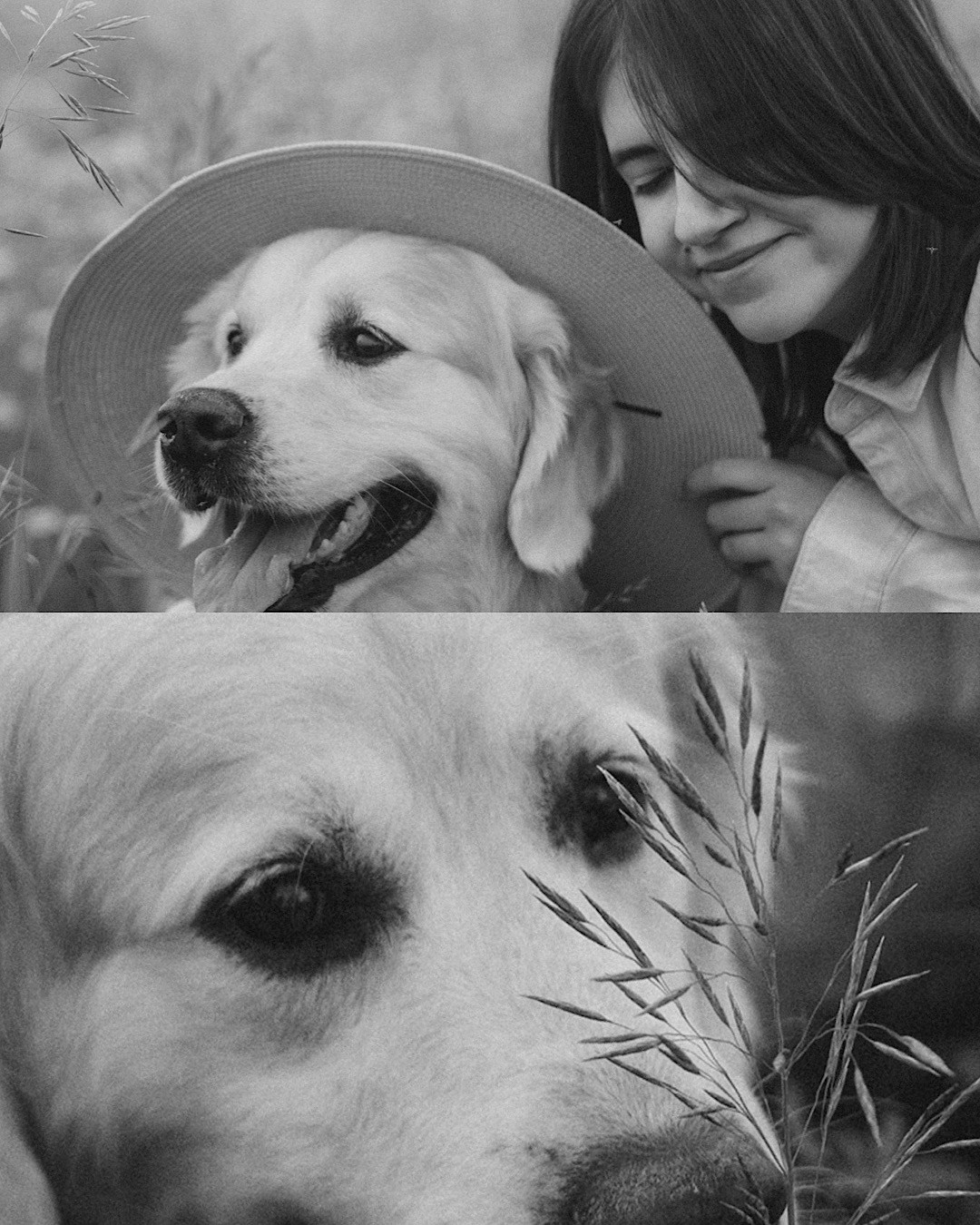 Кристина, Александр, Каролина, Владлен и Космос. Фотограф анималист в Москве и Санкт-Петербурге Свиридова Анна