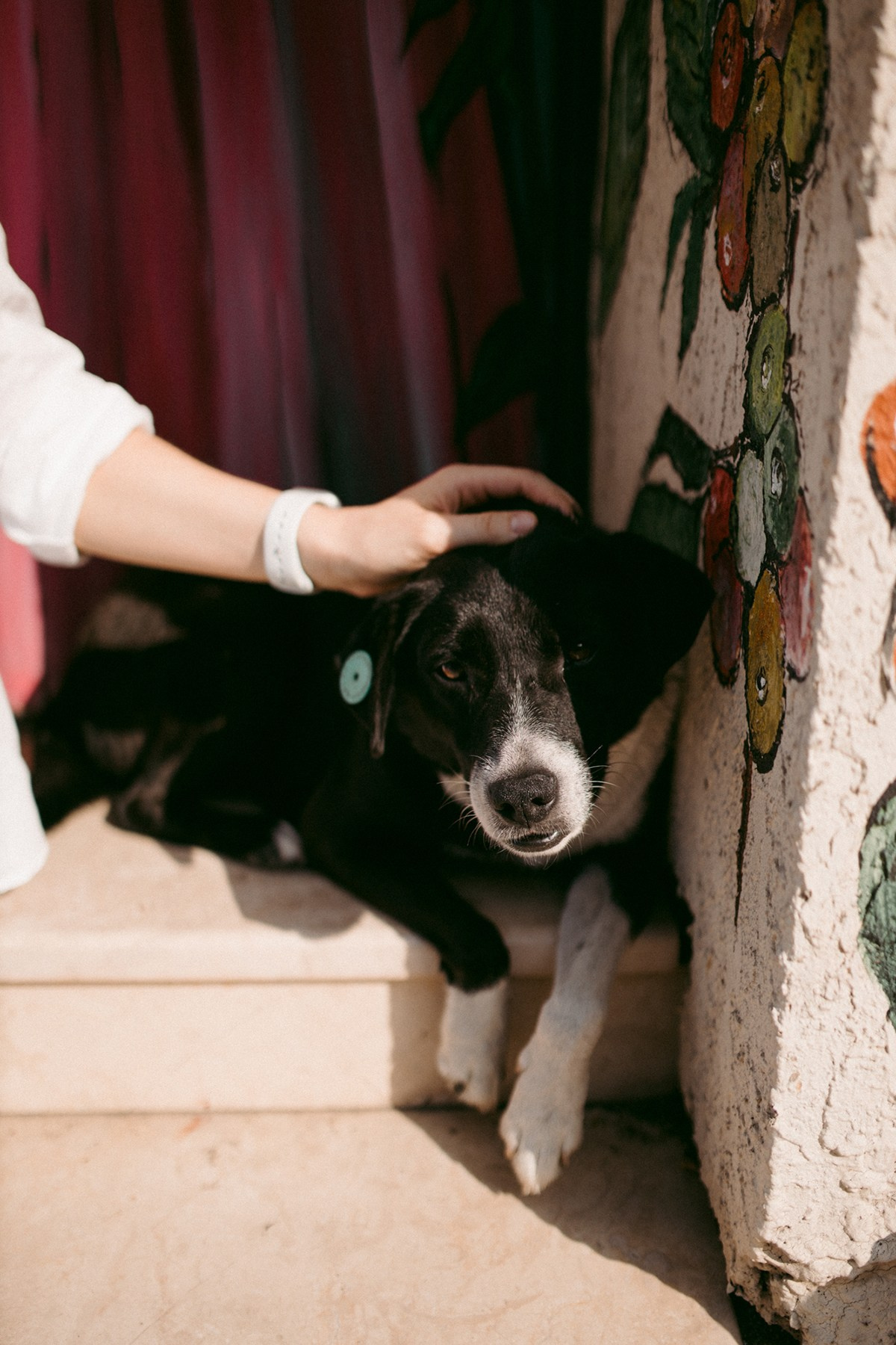 Tanya. Anastasia Blud Photography