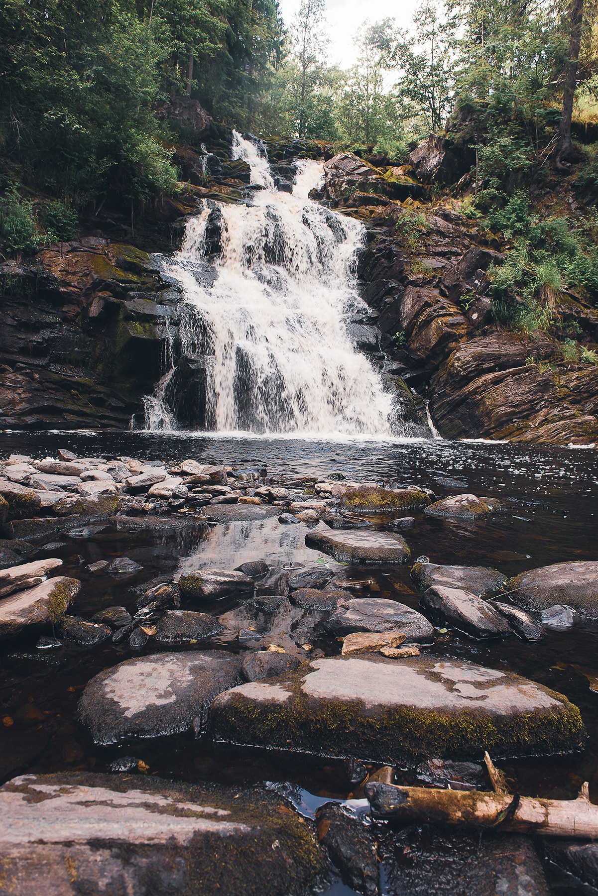 Карелия. Фотограф-анималист Наталья Светличная