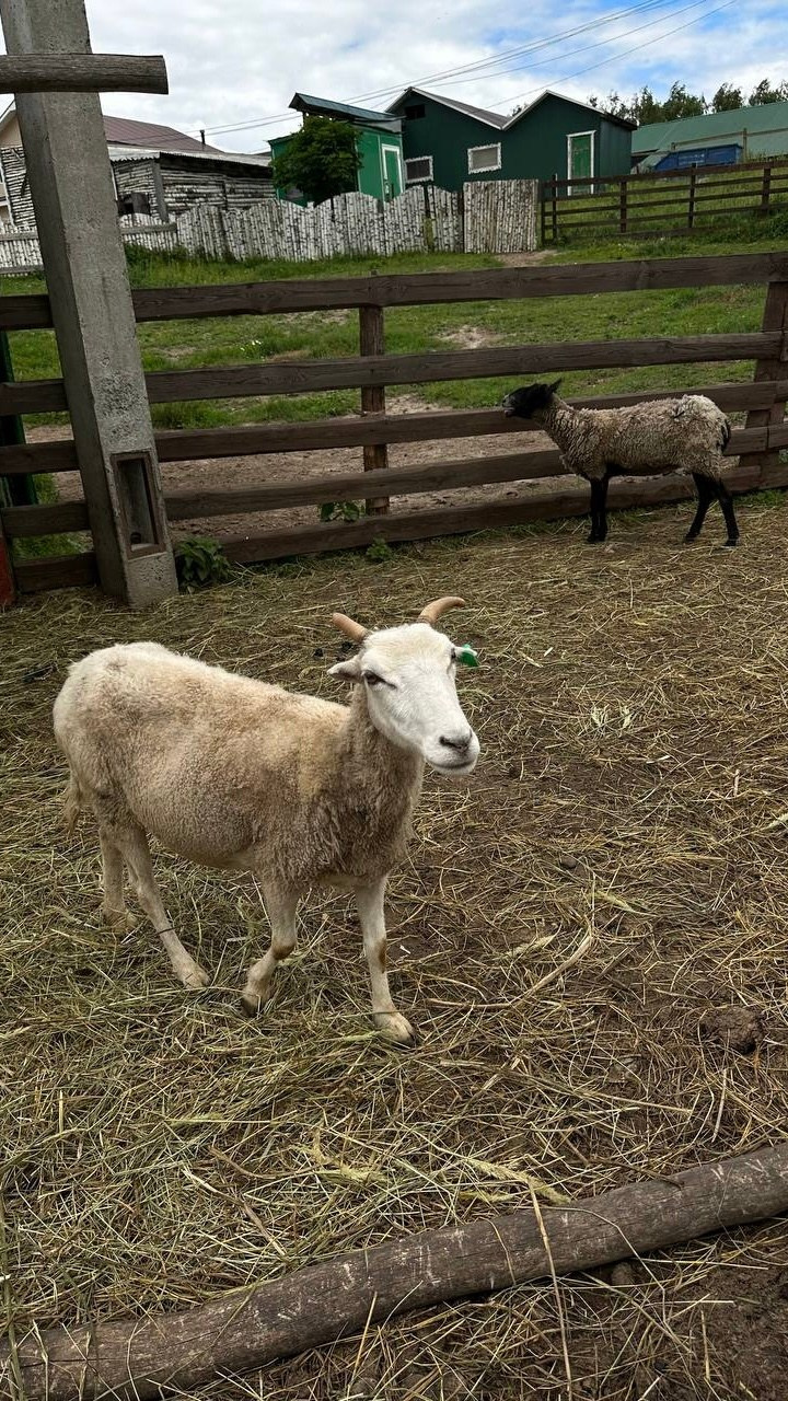 База отдыха. Фотограф в Нижнем Новгороде Лена Бирди