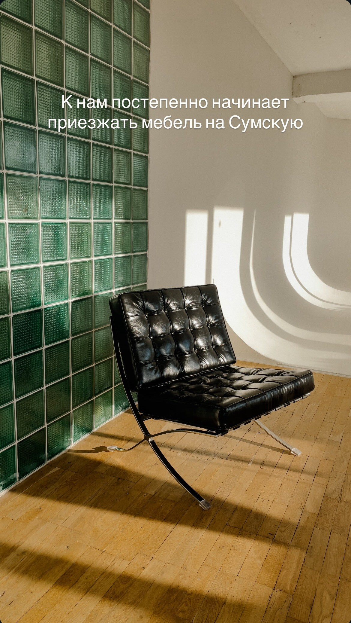 S8. Фотограф Анастасия Евсеева |Белгород