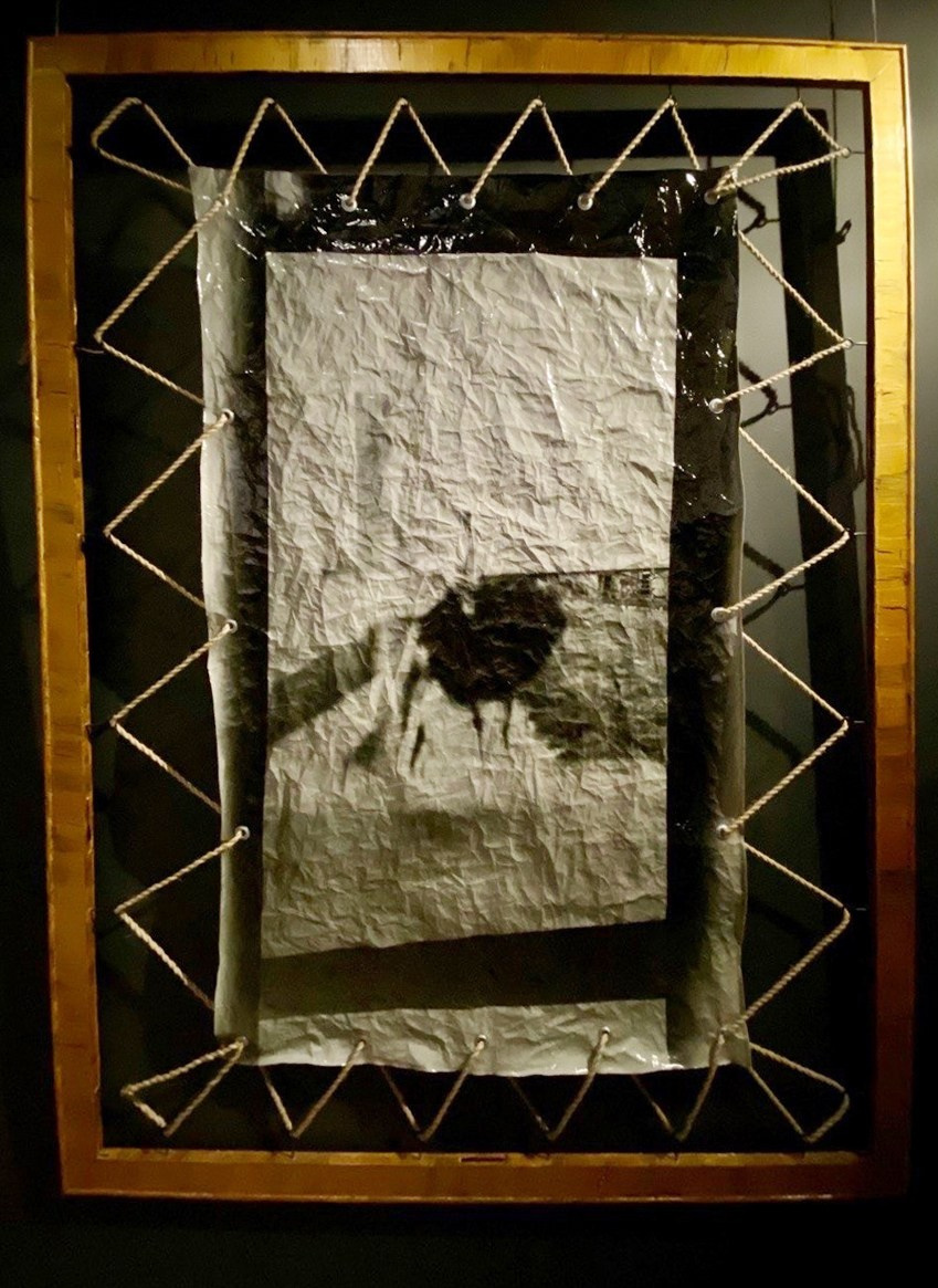 Работы. Об авторе