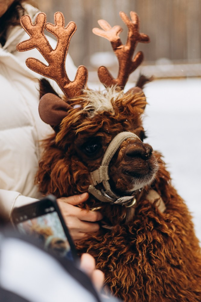 Репортажные съемки. Мария Пырина | Фотограф Екатеринбург