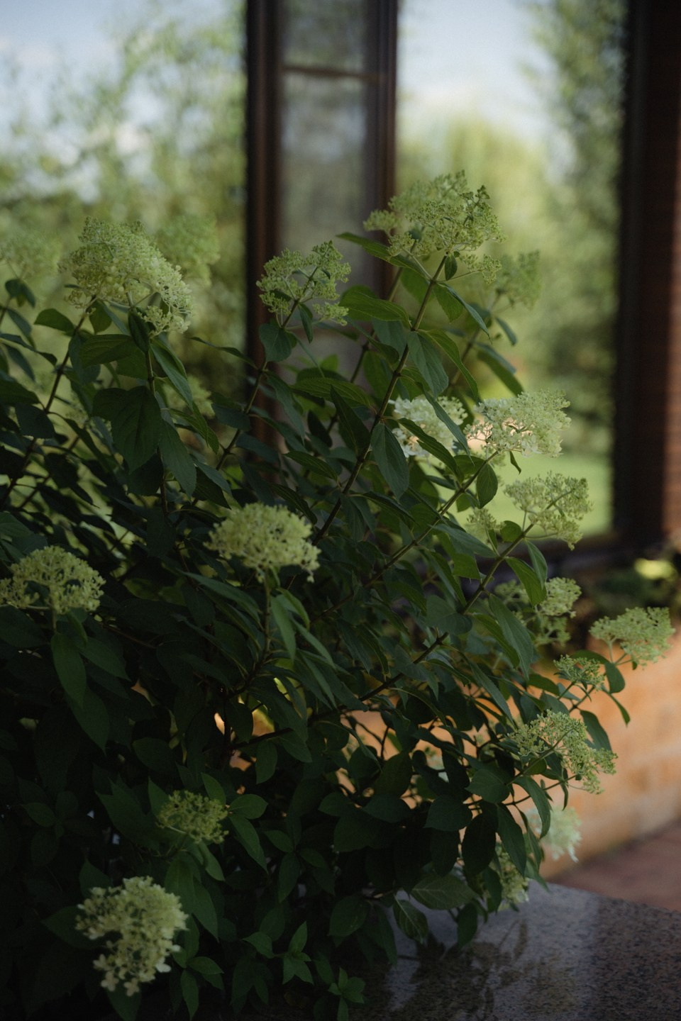 Дмитрий и Карина. Свадебный фотограф в Белгороде Антон Каменев