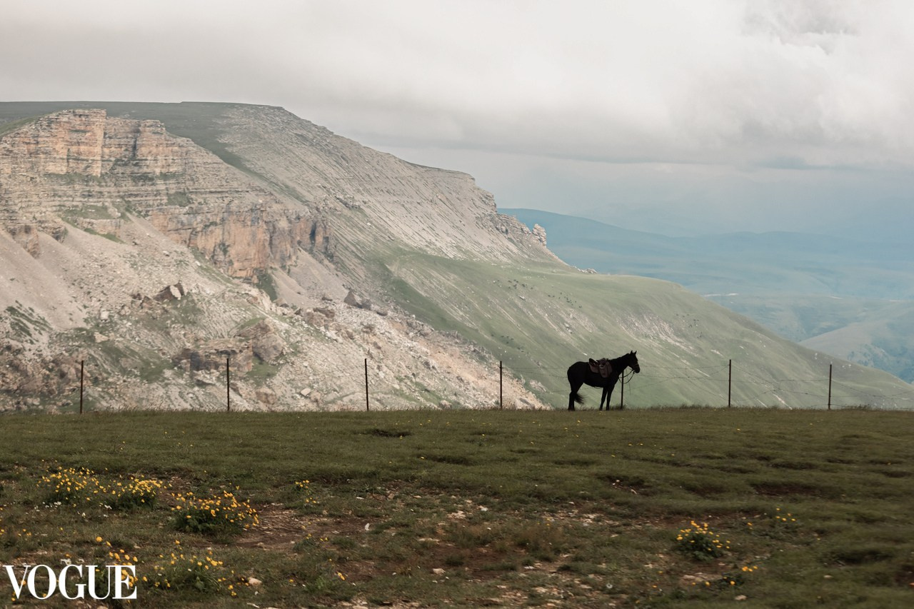 Photo Vogue. Семейный и детский фотограф в Санкт-Петербурге Павлова Елена