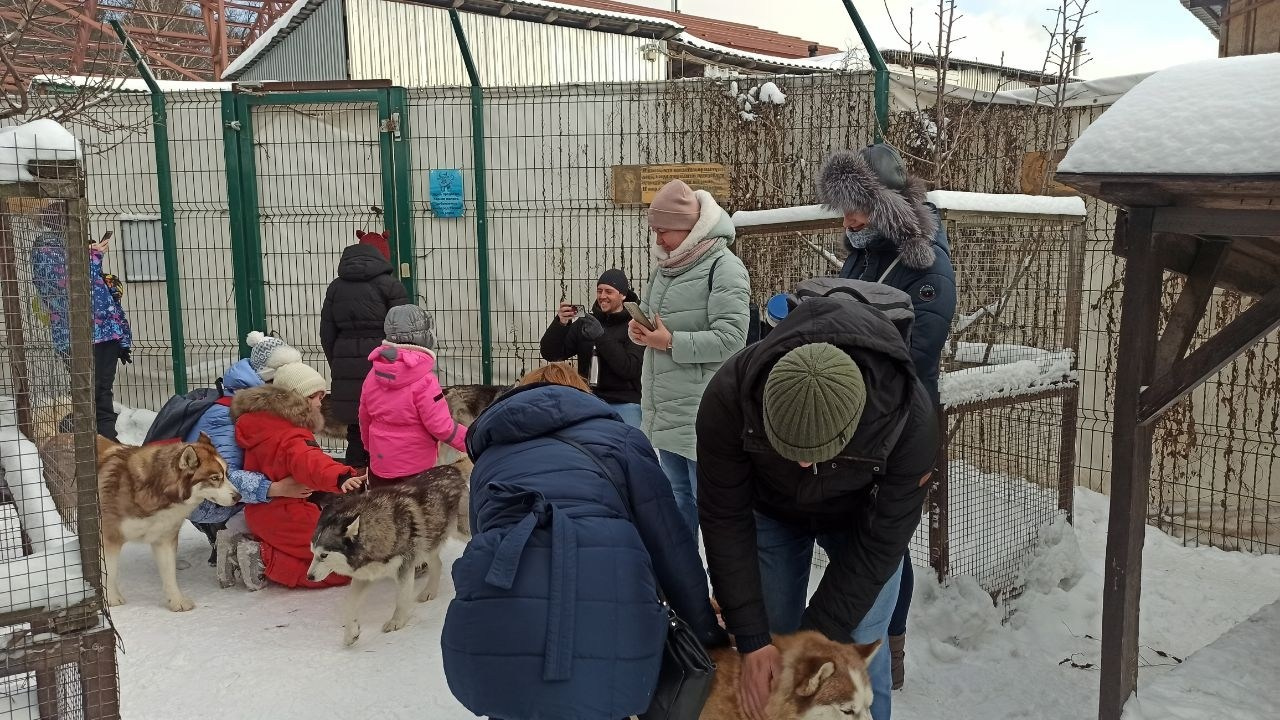 В гости к северным оленям | 02.12.2023. Галерея Фантим