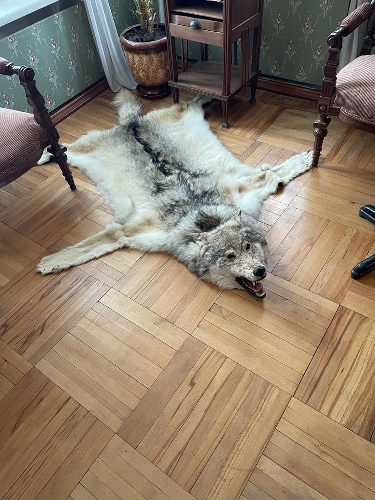 Рязань | 02 — 03.04.2022. Галерея Фантим