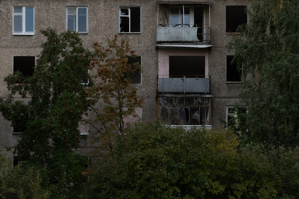 The city of white birches. Vita Stroganova