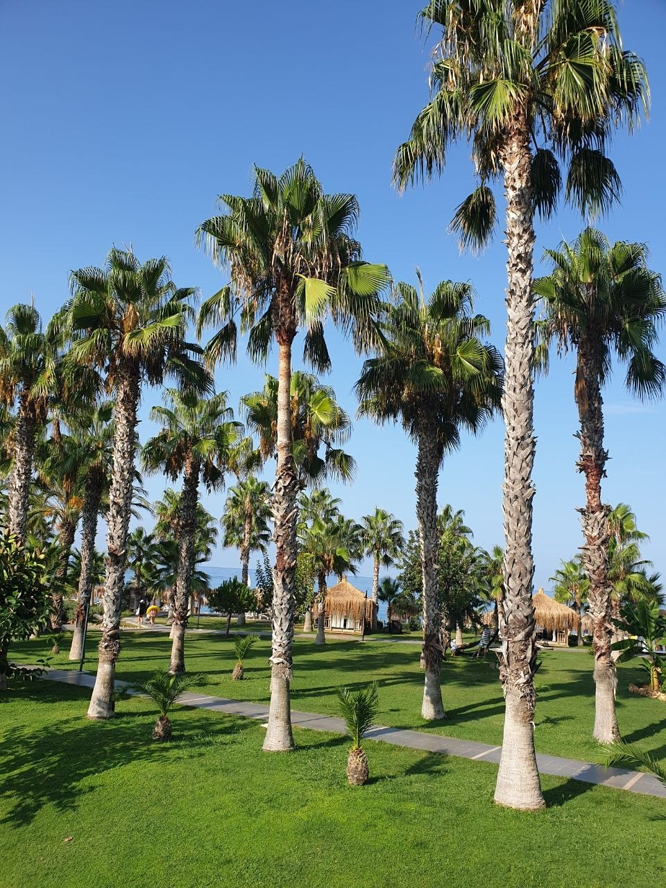 Фантимоотпуск. Турция | сентябрь 2023. Галерея Фантим