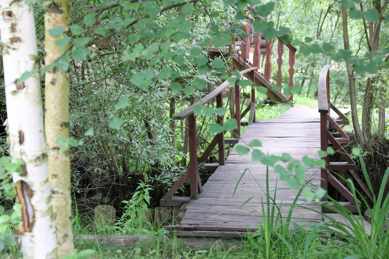 Деревенский выезд. Галерея Фантим