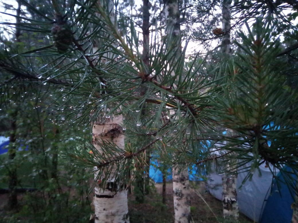 Походная романтика 27! Under Funny Rodger | 22-24.06.2018. Галерея Фантим