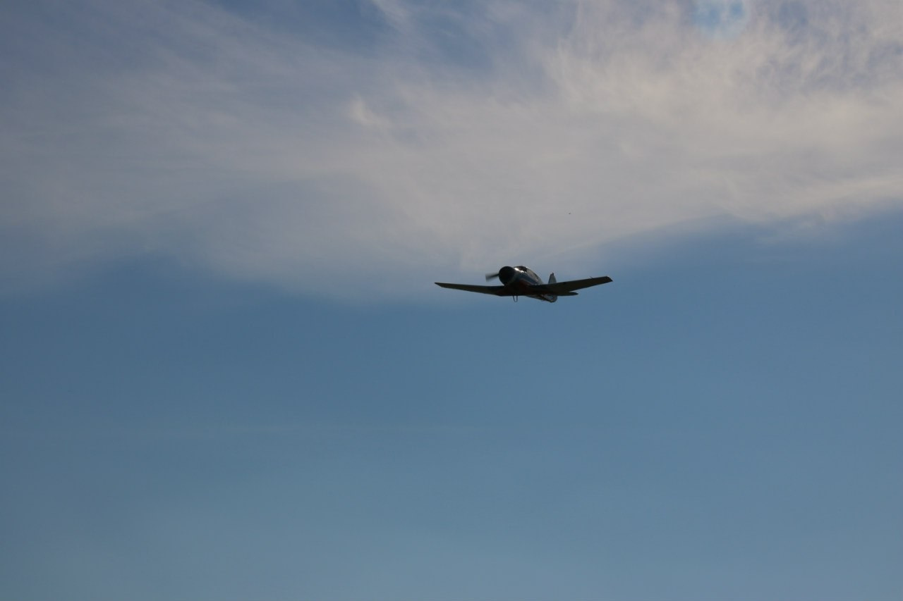 Планеры и высший пилотаж | 2016. Галерея Фантим