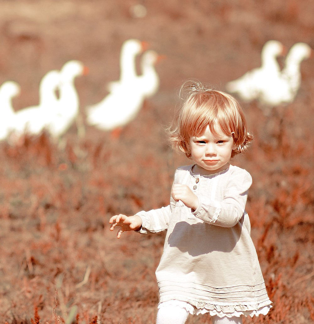 САША И ГУСИ. Арт-фотограф и преподаватель Анна Гражданкина