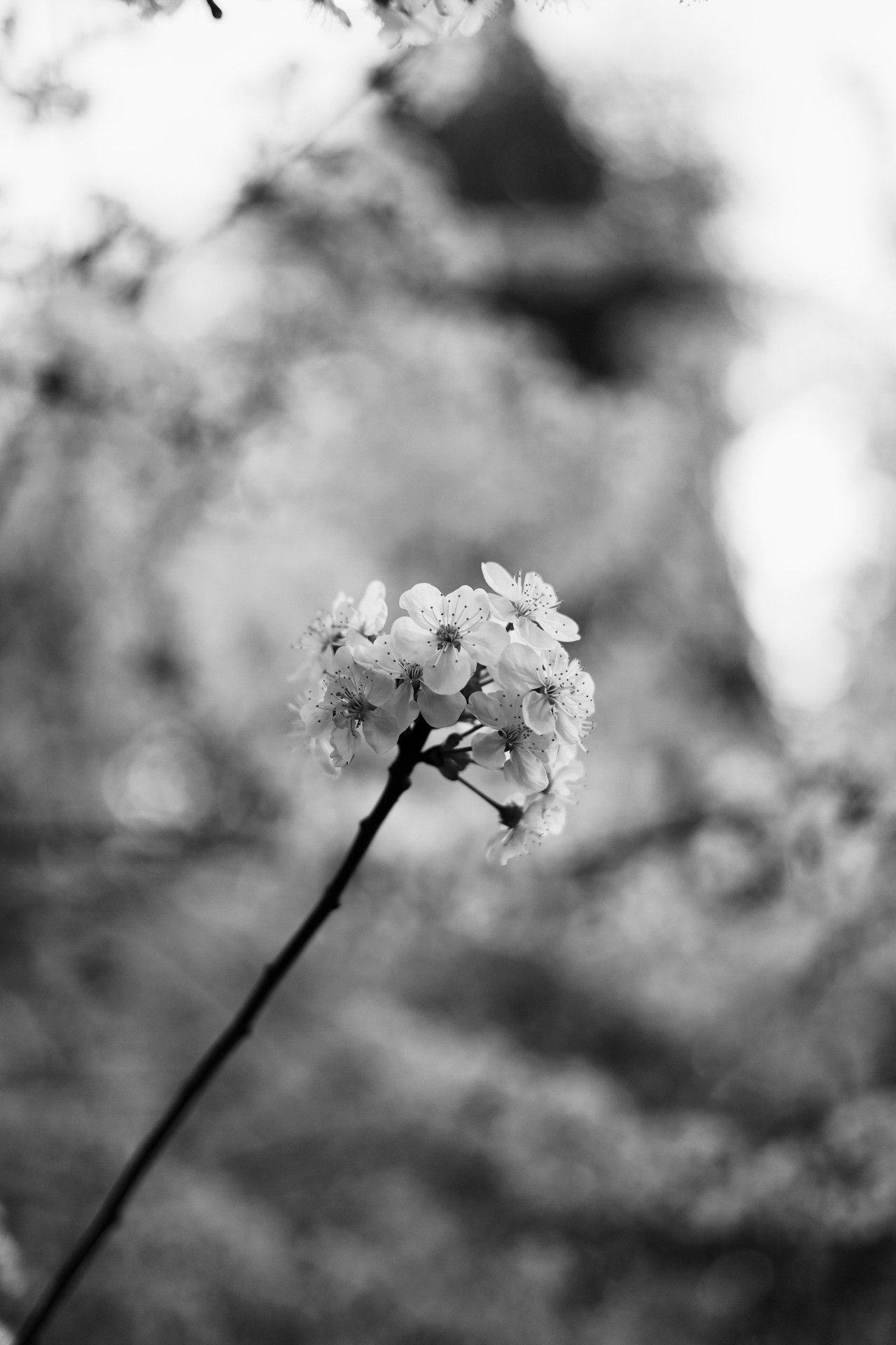 Все, что вокруг меня. Фотограф Евгения Ошкина, Саранск