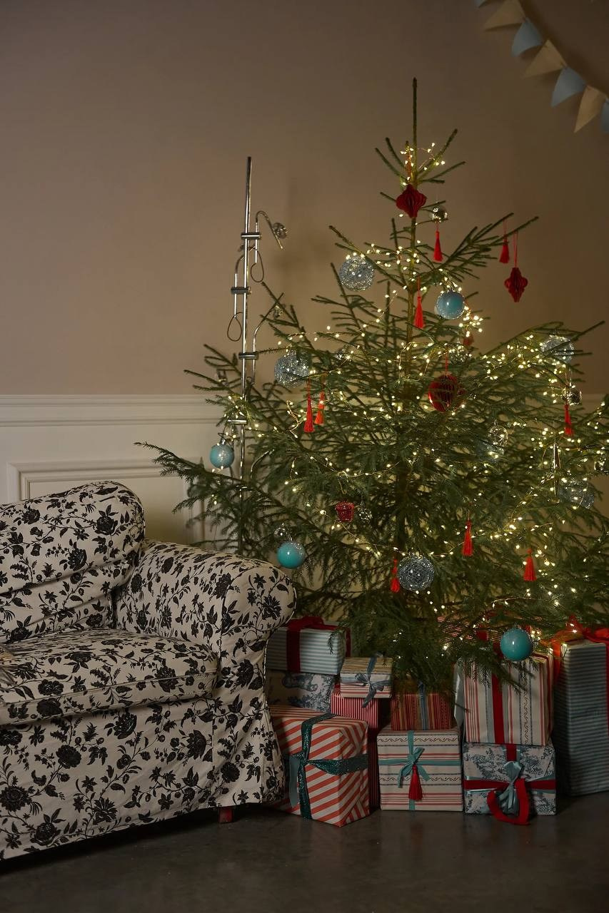 Новогодняя фотосессия в Туле. Портретный, семейный, свадебный фотограф. Бизнес, контент съёмка. Тула