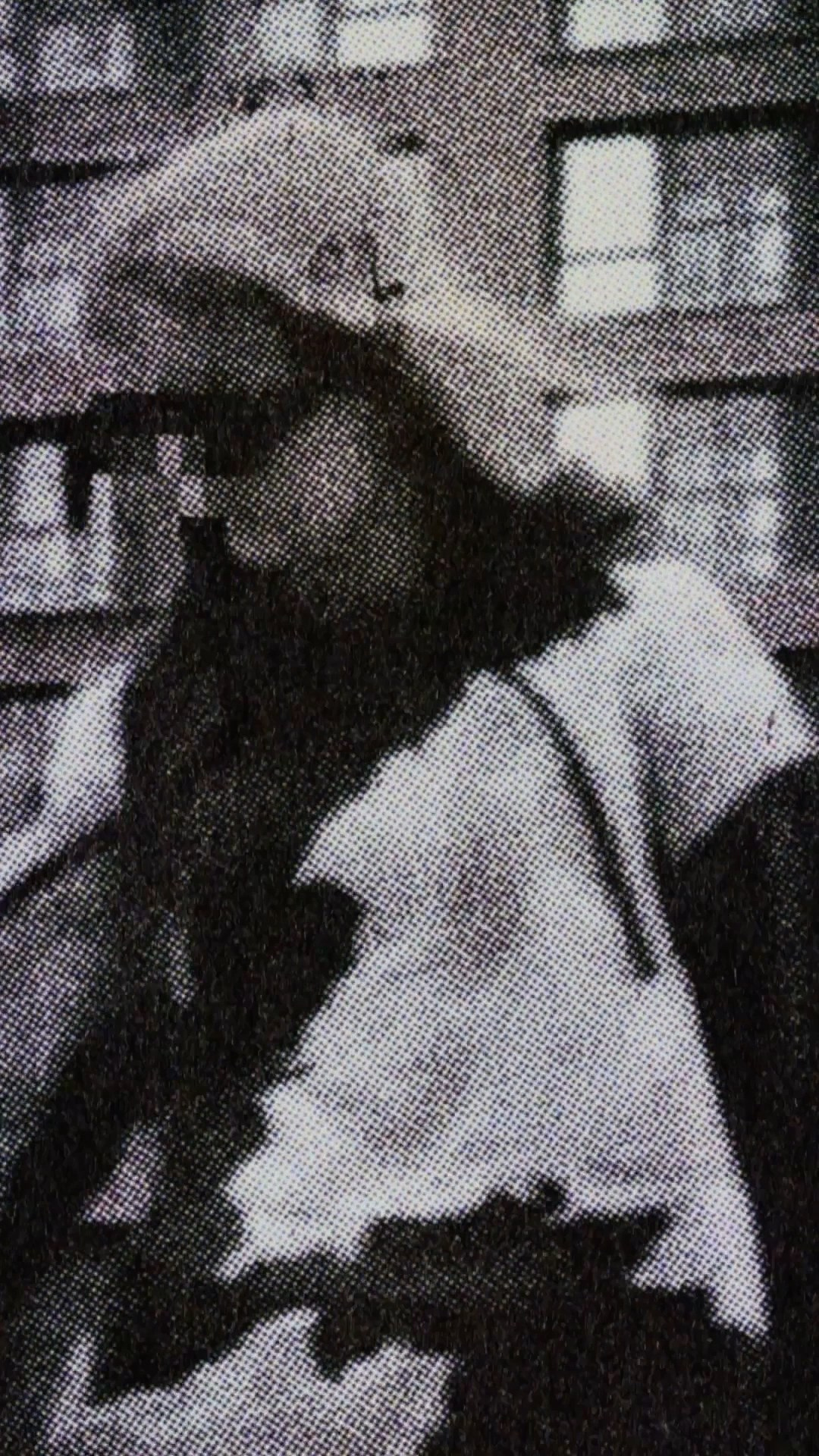 Fashion. Signal Dark Frame