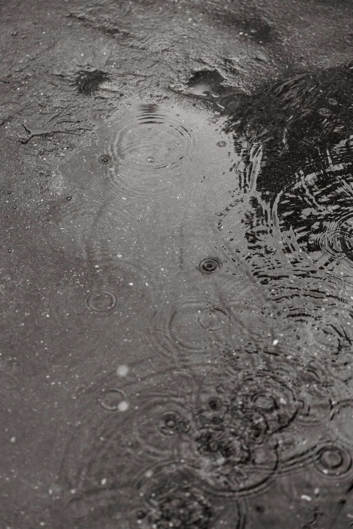 «Sposami per sempre»!. Свадебный фотограф Ярославль, Рыбинск