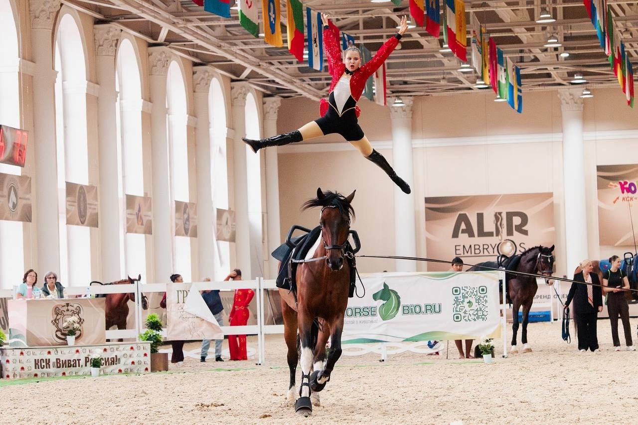 ВОЛЬТИЖИРОВКА — ЧЕМПИОНАТ СНГ. Куракина Дарья • Конный фотограф