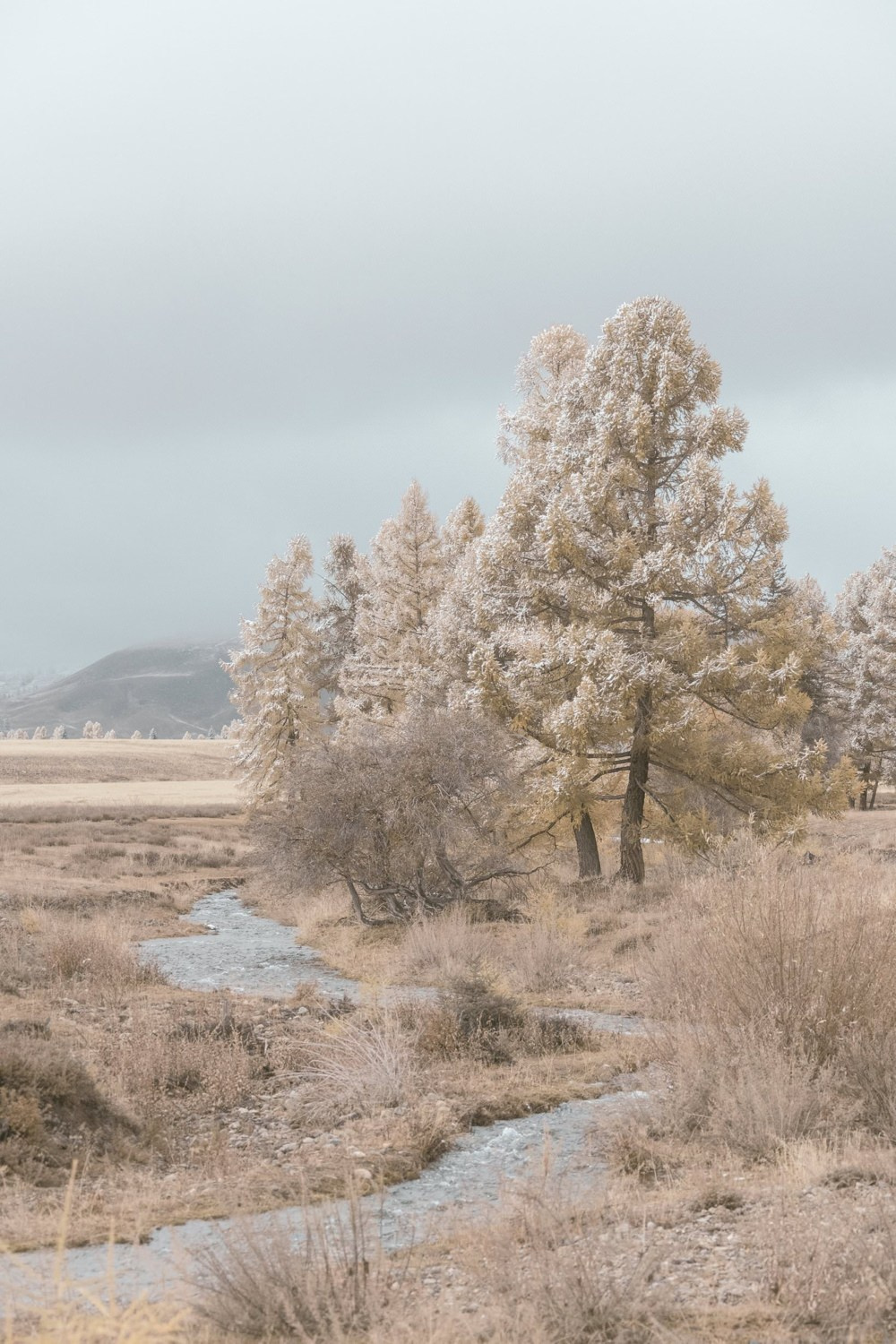 Altai Dream — personal project of photographer Vadim Sherbakov. Vadim Sherbakov Portfolio