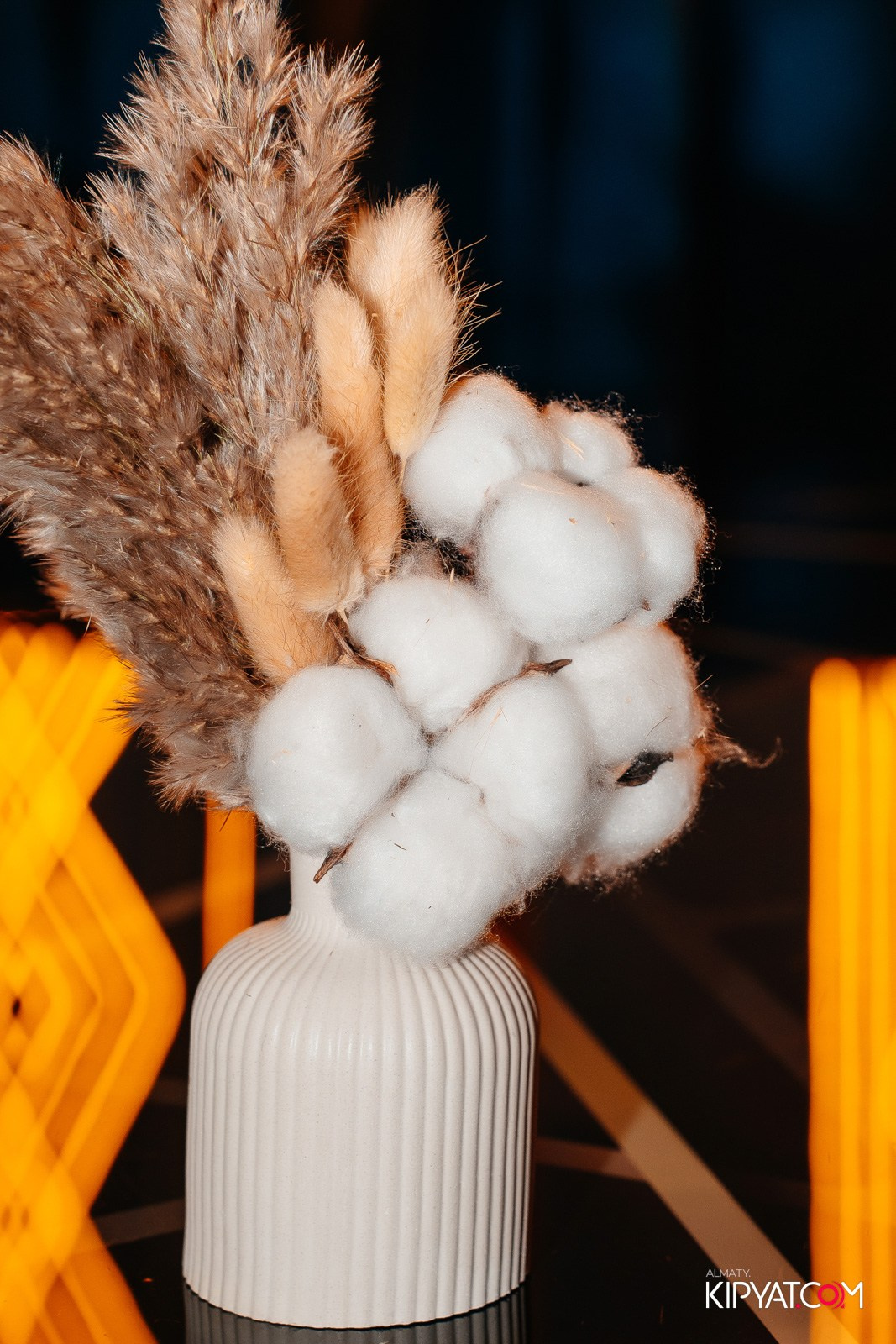 УХО И МЕДВЕДЬ НА КУРМАНГАЗЫ. КИПЯТКОМ АЛМАТЫ!