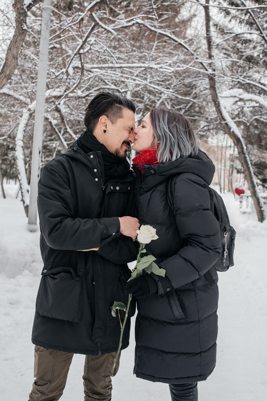 пара целуется в парке зимой, девушка держит розу
